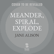 Meander, Spiral, Explode Lib/E: Design and Pattern in Narrative