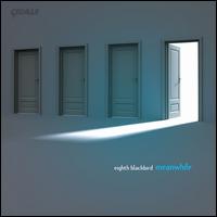 Meanwhile - Eighth Blackbird