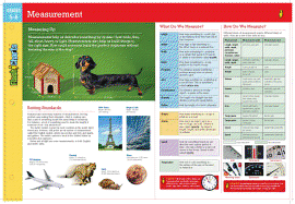 Measurement Flashcharts - Flash Kids Editors (Editor)