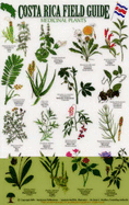 Medicinal Plants