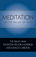 Meditation on the Nature of Mind