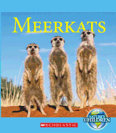 Meerkats