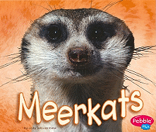 Meerkats