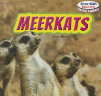 Meerkats