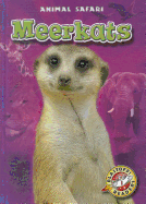 Meerkats