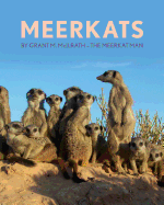 Meerkats