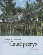 Meet Caudipteryx