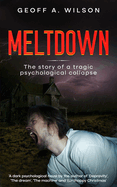 Meltdown: the story of a tragic psychological collapse