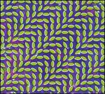 Merriweather Post Pavilion