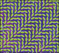 Merriweather Post Pavilion - Animal Collective