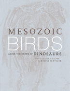 Mesozoic Birds: Above the Heads of Dinosaurs