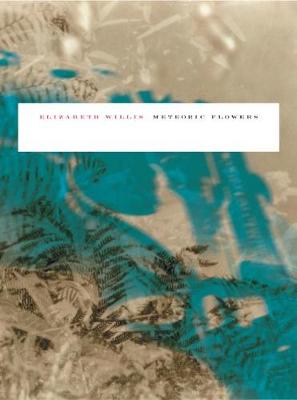 Meteoric Flowers - Willis, Elizabeth