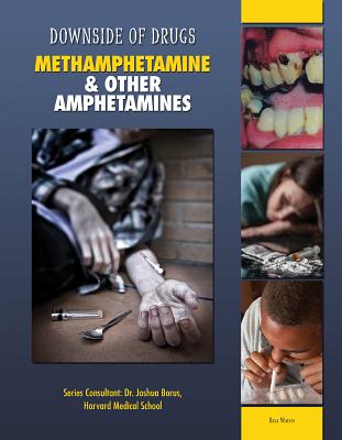 Methamphetamine & Other Amphetamines - Waters, Rosa, and Borus, Joshua (Consultant editor)
