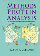 Methods for Protein Analysis: A Practical Guide for Laboratory Protocols