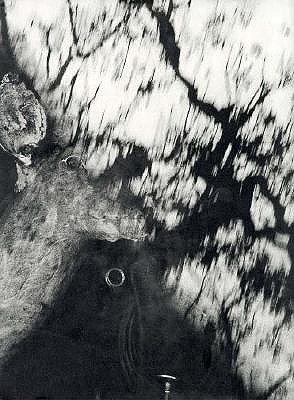 Michael Light: 'Ranch' - Solnit, Rebecca, and Woody, Jack (Volume editor)