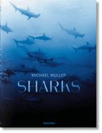 Michael Muller: Sharks