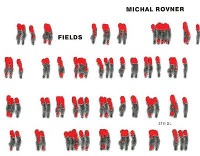 Michal Rovner: Fields - Rovner, Michal, and Durand, R�gis (Text by), and Lotringer, Sylv�re (Text by)
