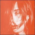 Microcastle/Weird Era Continued