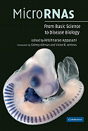 Micrornas: From Basic Science to Disease Biology