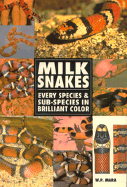 Milk Snakes