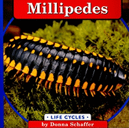 Millipedes