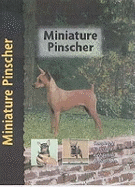 Miniature Pinscher