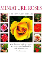 Miniature Roses
