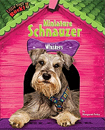 Miniature Schnauzer: Whiskers