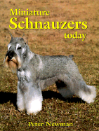 Miniature Schnauzers Today