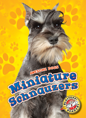 Miniature Schnauzers - Duling, Kaitlyn