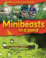 Minibeasts in a Pond
