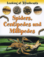 MINIBEASTS SPIDERS & CENTIPEDES - 