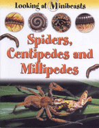 MINIBEASTS SPIDERS & CENTIPEDES
