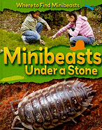 Minibeasts Under a Stone - Ridley, Sarah