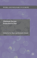 Minimum Income Protection in Flux