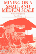 Mining on a Small and Medium Scale: A Global Perspective