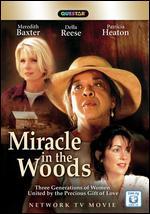 Miracle in the Woods