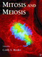 Mitosis and Meiosis