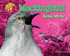 Mockingbird: Noisy Mimic