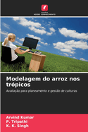 Modelagem do arroz nos tr?picos