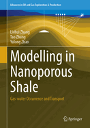 Modelling in Nanoporous Shale: Gas-water Occurrence and Transport