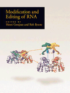 Modification and editing of RNA