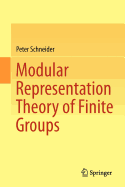 Modular Representation Theory of Finite Groups