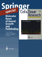 Molecular Bases of Axonal Growth and Pathfinding