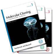 Molecular Cloning: A Laboratory Manual