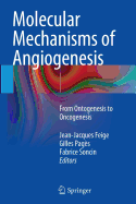 Molecular Mechanisms of Angiogenesis: From Ontogenesis to Oncogenesis