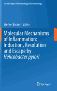 Molecular Mechanisms of Inflammation: Induction, Resolution and Escape by Helicobacter pylori