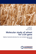 Molecular Study of Wheat for Lr26 Gene