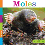 Moles