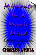 Moments In A Manic Mind - Hull, Charles